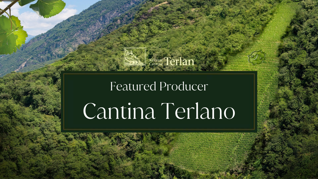 Cantina Terlano:可持续的葡萄园和独特的风土