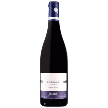 Domaine Anne Gros Bourgogne Pinot Noir Red