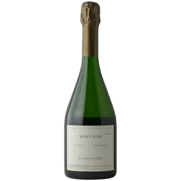 2013 Domaine Les Monts Fournois - Montagne Verznay Blanc de Noirs Grand Cru Millesime
