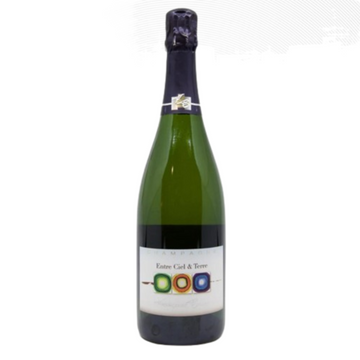 NV Francoise Bedel - Extra Brut Entre Ciel et Terre Lot:EB160623