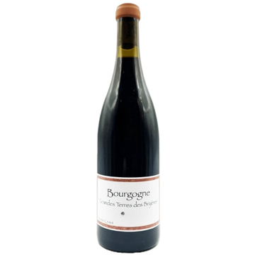 2022 Maxime Crotet - Bourgogne Rouge