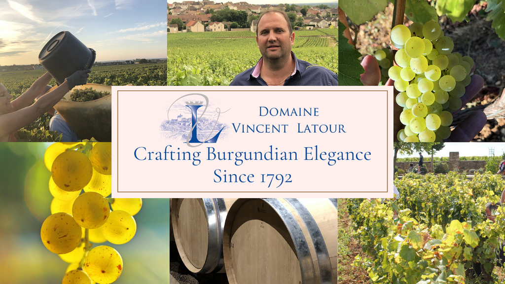 Vincent Latour: Crafting Burgundian Elegance Since 1792