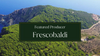/blogs/news/frescobaldi-italian-winemakers-with-700-years-of-history
