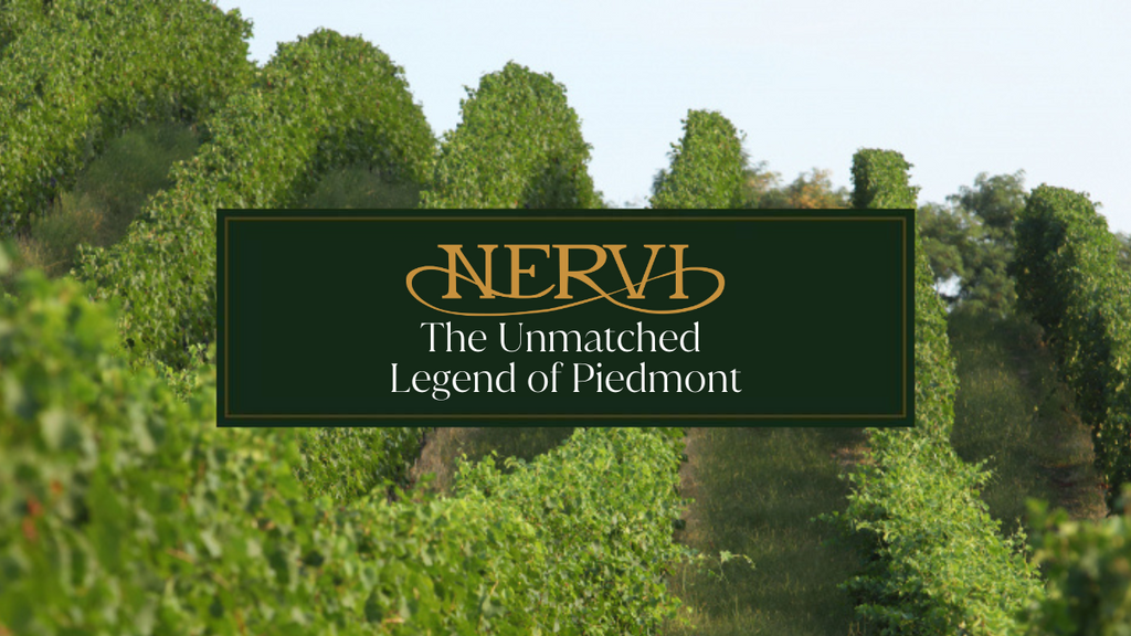 Nervi Conterno: The Unmatched Legend of Piedmont