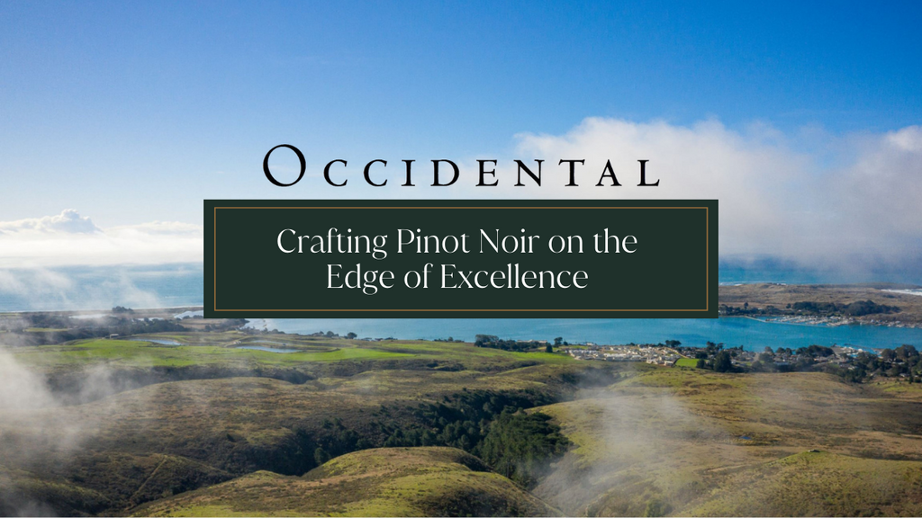 Occidental Vineyard: Crafting Pinot Noir on the Edge of Excellence