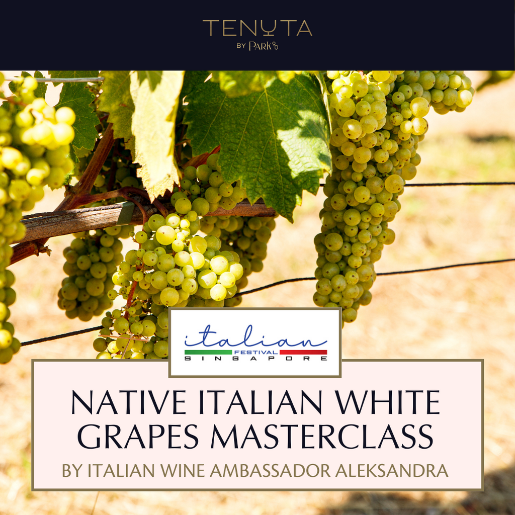[CLOSED] Native White Grapes Of Italy Masterclass | 14 June 2023