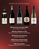 [SOLD OUT] Understanding Burgundy — From Regional to Grand Cru