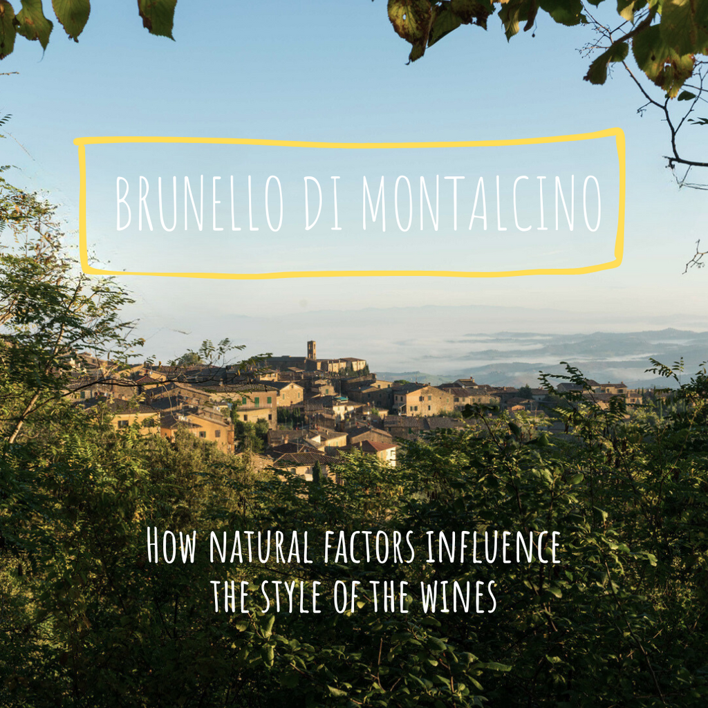 Brunello di Montalcino Masterclass | 26 Sep 2023