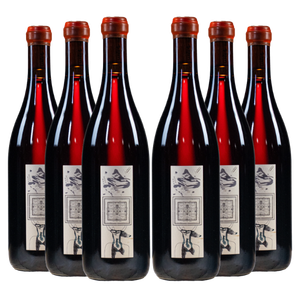 2022 Antica Terra - Pinot Noir Exquisite Corpse (Case of 6)