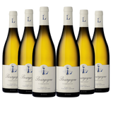 2019 Domaine Vincent Latour - Bourgogne Chardonnay [6 Bottle Case]