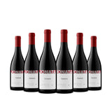 [Bundle of 6] 2019 Jonata - Todos Proprietary Red Wine