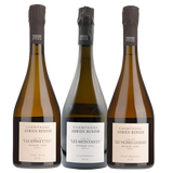 Adrien Renoir Mixed Case of Les Epinettes, Les Montants & Les Vignes Goisses  White