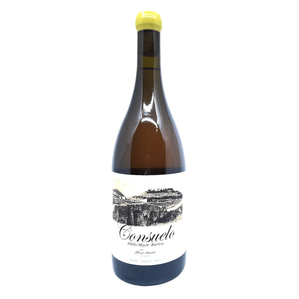 2019 Alfredo Maestro - Consuelo