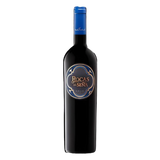 2021 Sena - Rocas de Sena