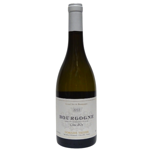 2022 Domaine Arnaud Tessier - Bourgogne Cote dór