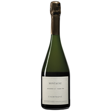2014 Domaine Les Monts Fournois - Montagne Verznay Blanc de Noirs Grand Cru Millesime