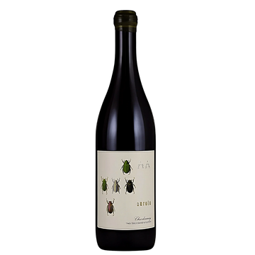 2023 Antica Terra - Chardonnay Aurata