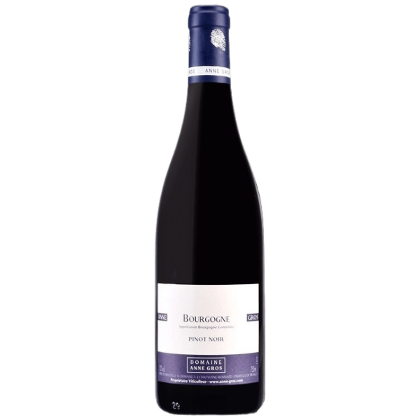 2022 Domaine Anne Gros - Bourgogne Pinot Noir