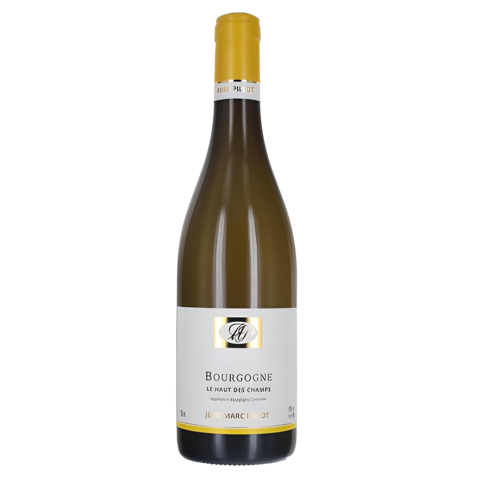 2020 Jean-Marc Pillot - Bourgogne Chardonnay Haut des Champs