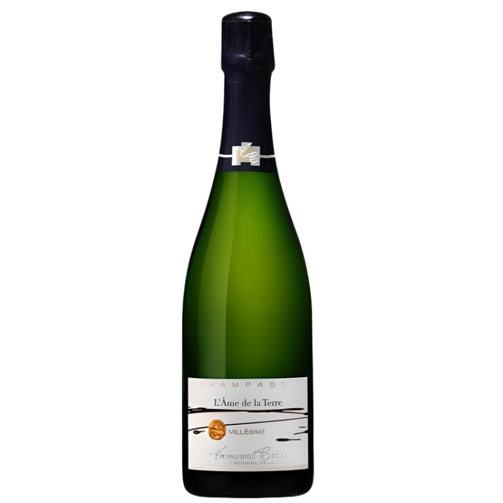2002 Francoise Bedel - Brut L'Ame de la Terre Lot:AX020121