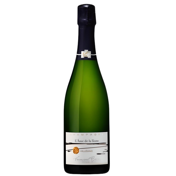2002 Francoise Bedel - Brut L'Ame de la Terre Lot:AX020121