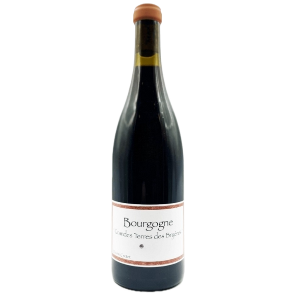 2022 Maxime Crotet - Bourgogne Rouge