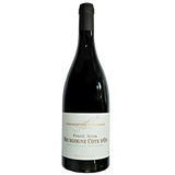 Domaine Christophe Violot-Guillemard Bourgogne Pinot Noir Red