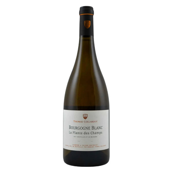 Domaine Thomas-Collardot Bourgogne Blanc La Plante des Champs  White