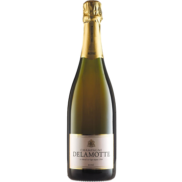 Delamotte Rose  Rose